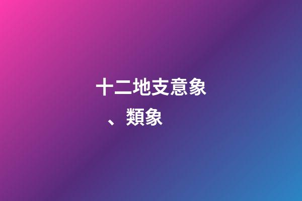 十二地支意象、類象